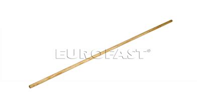 Eurofast bezemsteel hout 25x1500mm